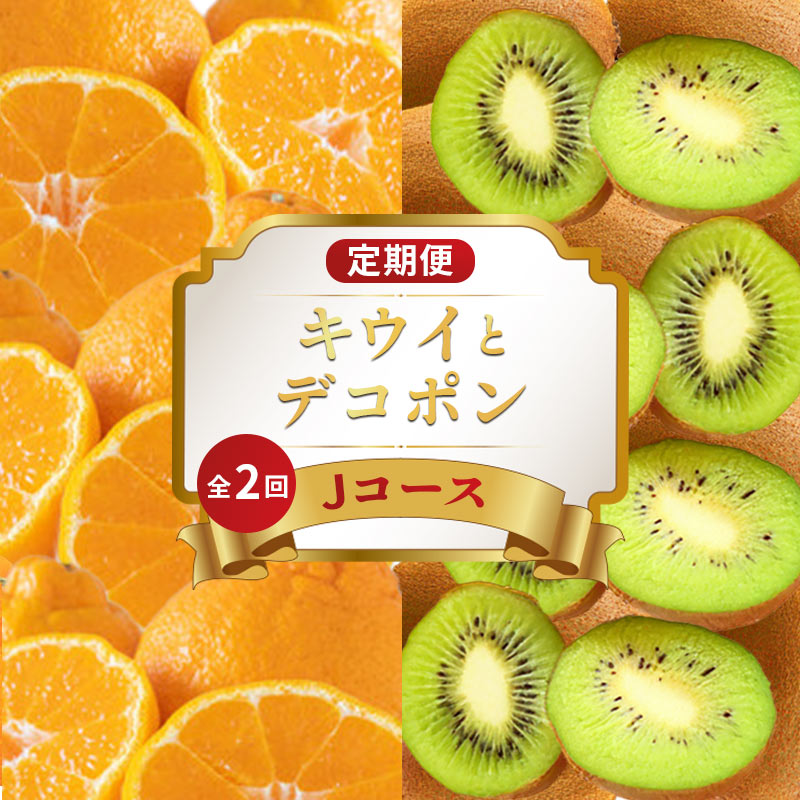 【ふるさと納税】 旬のフルーツ 定期便 2回 Jコース 果物 フルーツ デコポン 不知火 みかん 柑橘 蜜柑 香緑 キウイフルーツ グリーンキウイ キウイ デザート スイーツ ケーキ ふるさと納税定期便 ふるさと納税フルーツ ギフト 贈答 送料無料 ふるさと納税 香川県 丸亀市｜香川県丸亀市