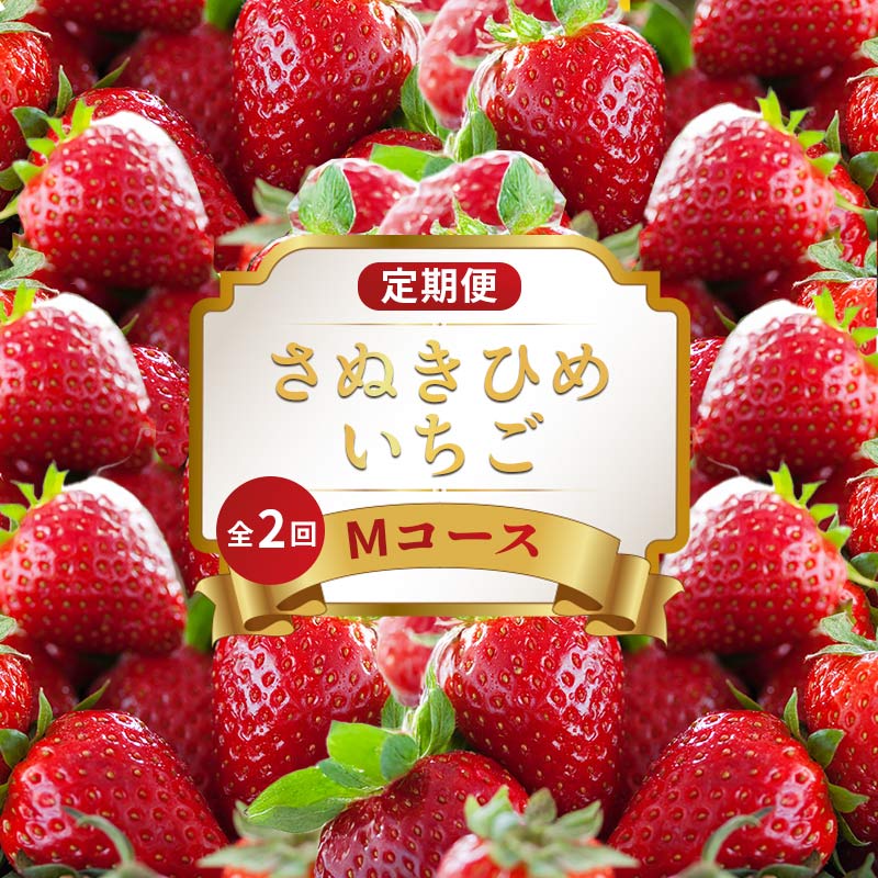 【ふるさと納税】 いちごの定期便 2回 Mコース 果物 フルーツ いちご 苺 さぬきひめ デザート スイーツ ケーキ ゼリー ジュース アイス ジェラート フルーツ大福 ふるさと納税定期便 定期便 ふるさと納税フルーツ ギフト 贈答 送料無料 ふるさと納税 香川県 丸亀市｜香川県丸亀市
