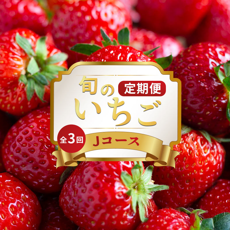 【ふるさと納税】 いちご 定期便 3回 Jコース 果物 フルーツ いちご 苺 さぬきひめ ケーキ ゼリー ジュース アイス ジェラート ジャム いちご大福 フルーツ大福 クレープ ふるさと納税定期便 ふるさと納税フルーツ ギフト 贈答 送料無料 ふるさと納税 香川県 丸亀市｜香川県丸亀市