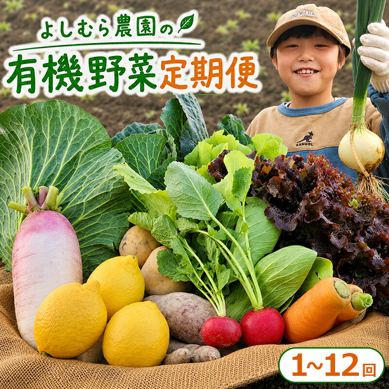 【ふるさと納税】 野菜 定期便 詰め合わせ 10種 1回 2回 3回 4回 6回 12回 よしむら農園 オーガニック 有機 有機野菜 やさい 訳あり ベジタブル おまかせ セット 一人暮らし おすすめ レタス とうもろこし トマト 有機栽培 JAS 栄養 国産 旬 人気 新鮮 今が旬 香川県 丸亀市｜香川県丸亀市