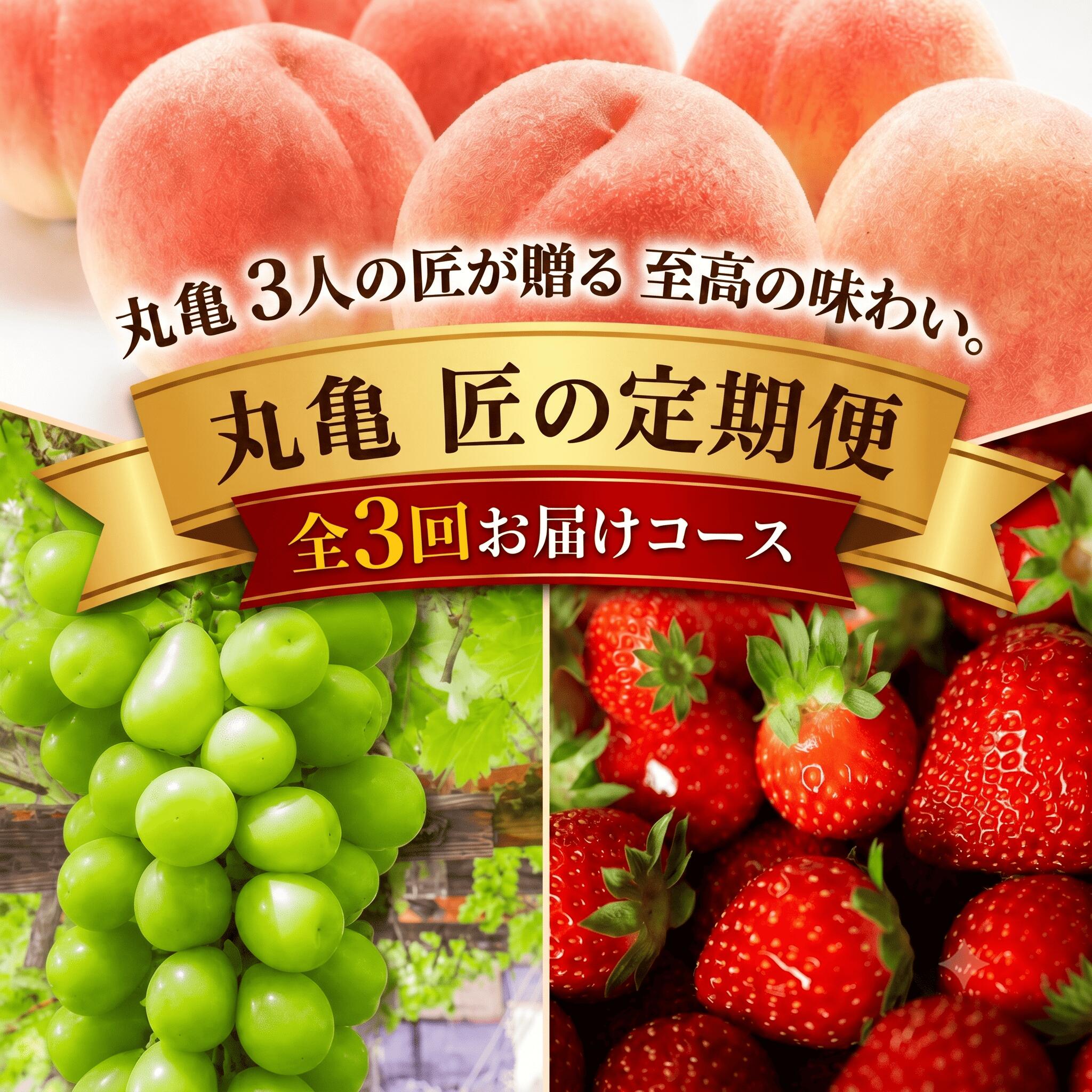 【ふるさと納税】 丸亀の3人の匠が育てた厳選フルーツ定期便 もも シャインマスカット いちご お中元 贈答 ギフト 香川 丸亀市｜香川県丸亀市