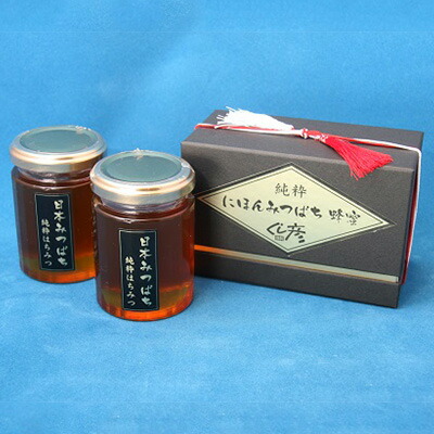 【ふるさと納税】 日本みつばちの純粋蜂蜜 大2個セット 加工食品 はちみつ ハチミツ 瓶 　お届け：入金確認後、随時発送致します。※年末年始配送不可。12/26-1/15指定不可。