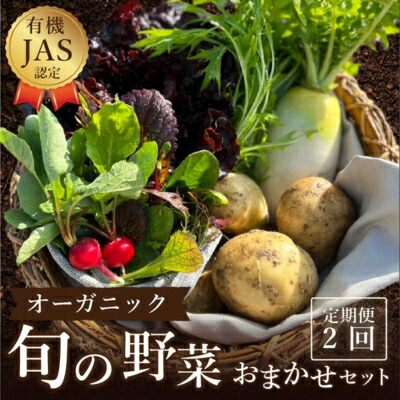 【ふるさと納税】野菜 詰め合わせ 定期便 よしむら農園 オーガニックおまかせ野菜セット/2回定期便 野菜 詰め合わせ オーガニック おまかせ セット 一人暮らし 野菜炒め 無添加 旬 有機栽培 JAS 新鮮 　お届け：※年末年始配送不可 12/26-1/15指定不可