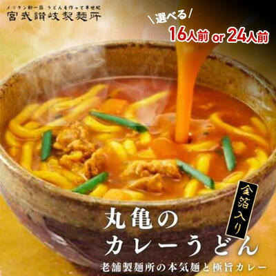 【ふるさと納税】カレーうどん 丸亀からお届け コク旨 カレー うどん 選べる内容量 16人前 または 24人前 麺類 乾麺 生麺 半生麺 讃岐 レンジ 本格的 本場 簡単 スパイス 手軽 人気 電子レンジ ご家庭用 家庭用 ギフト 一人暮らし　 丸亀市