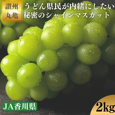 【ふるさと納税】【早期予約】シャインマスカット 約2kg マスカット シャインマスカット ぶどう 葡萄 ブドウ フルーツ 果物 くだもの 果実 フルーツ 旬 旬の果物 デザート スイーツ おやつ ゼリー ジュース 人気果物 人気フルーツ ランキング 香川 丸亀