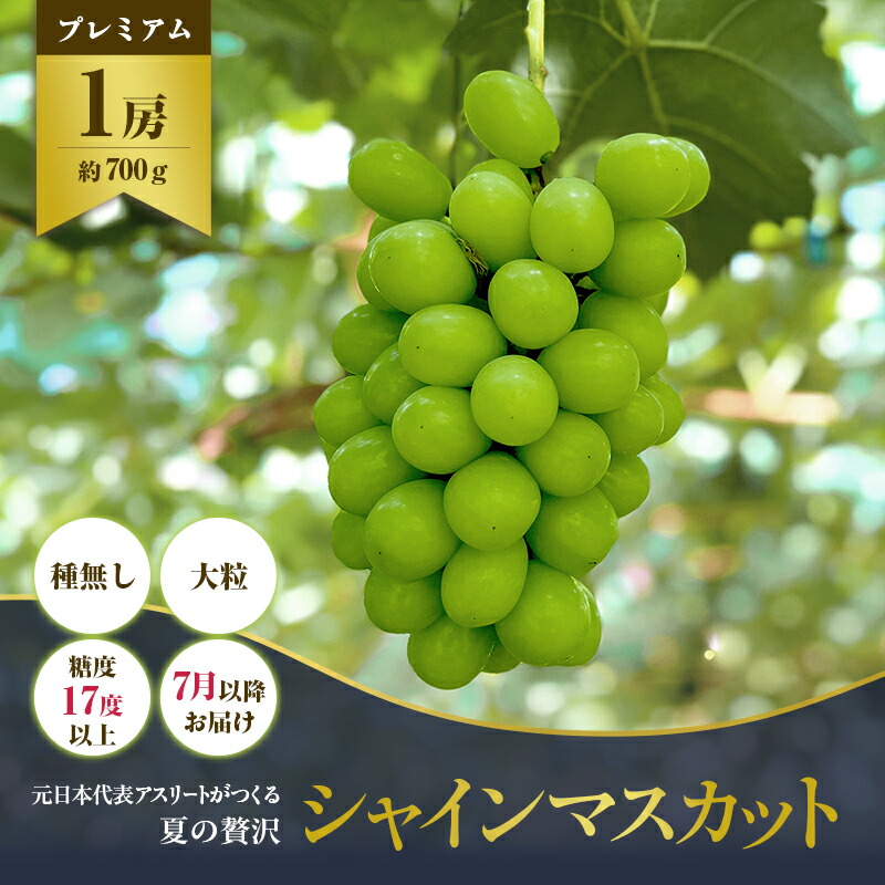 【ふるさと納税】 早期予約 朝採りシャインマスカット 1房 (約700g) マスカット シャインマスカット ぶどう 葡萄 ブドウ フルーツ 果物 くだもの 果実 フルーツ デザート スイーツ ケーキ ゼリー ジュース 人気 糖度 甘い おすすめ 贈答 プレゼント ギフト 送料無料