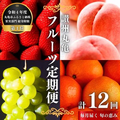 【ふるさと納税】 フルーツ 定期便 選べる回数 3～12回 お楽しみ 高級 いちご シャインマスカット 桃 みかん キウイ デコポン びわ はっさく 紅ほっぺ 旬の果物 くだもの 果実 柑橘 甘い デザート 12ヶ月 1年 豪華 セット 詰め合わせ ギフト 贈答 おすすめ 人気 香川県｜香川県丸亀市