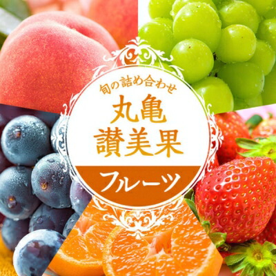 【ふるさと納税】旬のフルーツ詰合せ！丸亀讃美果／ 果実 果物 旬 今が旬 シャインマスカット 桃 みかん いちご ピオーネ ぶどう 詰め合わせ 詰合せ 果物類 季節の果物 ブドウ せとか お楽しみ