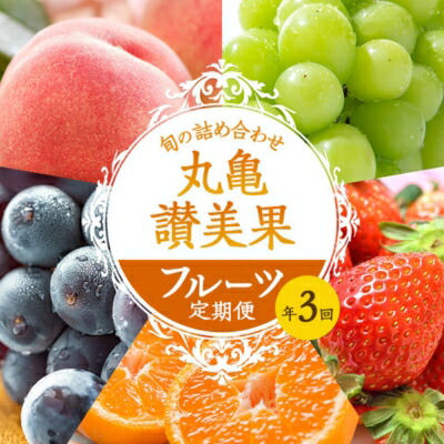 【ふるさと納税】 旬のフルーツ 定期便 3回 果実 フルーツ シャインマスカット マスカット ぶどう 葡萄 桃 モモ いちご 苺 ピオーネ みかん 蜜柑 柑橘 梨 キウイ はっさく デコポン せとか ふるさと納税定期便 ふるさと納税フルーツ 贈答 ギフト 送料無料 ふるさと納税｜香川県丸亀市 39,000円