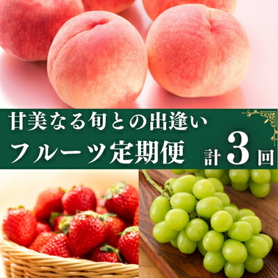 【ふるさと納税】【お届け：入金月の最短回から全3回お届け】フルーツ 定期便 3回 旬に出逢う城下町の果実 定期配送 いちご 桃 シャインマスカット 果実 果物 ぶどう 旬のフルーツ フルーツギフト フルーツ定期 フルーツ定期便 果物定期 果物定期便 人気果物 人気フルーツ