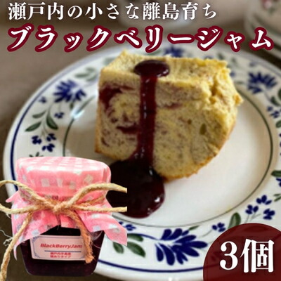 【ふるさと納税】ジャム ブラックベリージャム 3個 セット 瀬戸内海 ブラックベリー フルーツ 果物 ベリー ギフト プレゼント 贈答 スイーツ デザート おやつ お菓子 菓子 パン ケーキ アイス ヨーグルト 無添加 常温 加工品 常温配送 香川県 香川 丸亀 丸亀市