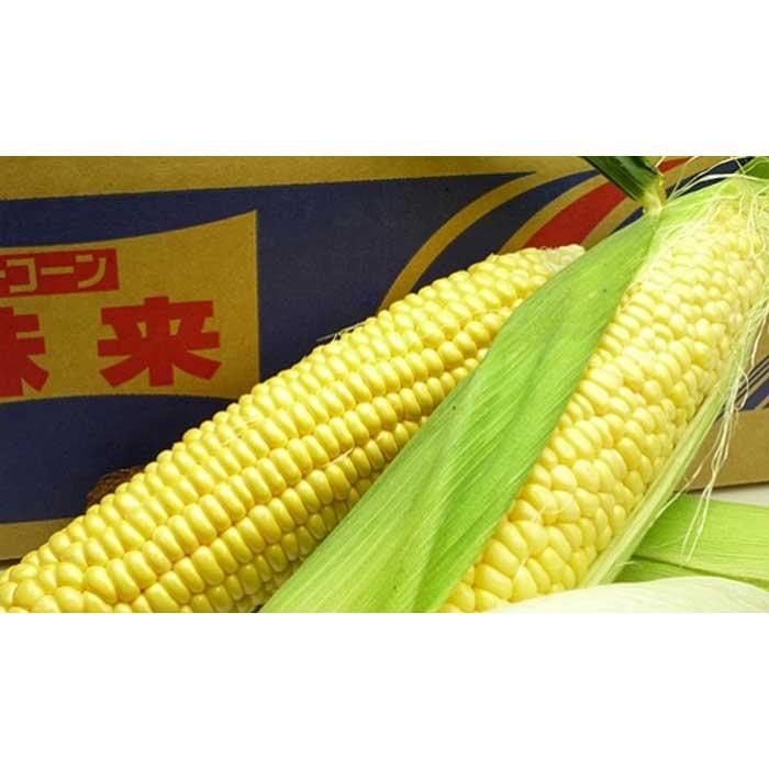 【ふるさと納税】とうもろこし もぎたてトウモロコシ 5kg 坂出市産【先行予約：2026年6月上旬～順次発送】 | 香川 四国 ふるさと 納税 返礼品 支援 お取り寄せグルメ 取り寄せ グルメ 食品 野菜 やさい とうもろこし トウモロコシ