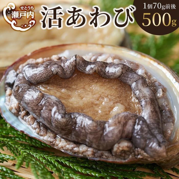 【ふるさと納税】瀬戸内あわび（活）500g（1個70ｇ前後） | 香川県 坂出市 香川 四国 ふるさと 納税 返礼品 支援 お取り寄せグルメ 取り寄せ グルメ 食品 魚介類 魚介 海の幸 海産物 あわび アワビ 鮑 生食 むしあわび お取り寄せ 特産品 おいしい 美味しい 刺し身 刺身