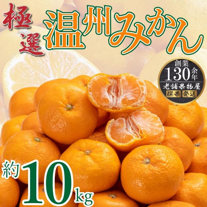 特注品かえ蔵出し熟成和泉みかん 隠れ名産地 蔵出し熟成和泉みかん(中玉・大玉サイズミックス