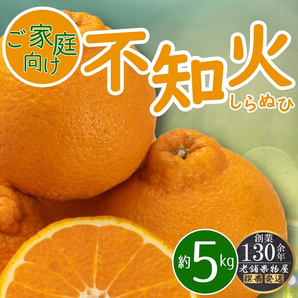 【ふるさと納税】ご家庭向け！不知火(しらぬひ)　約5kg