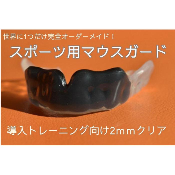 【ふるさと納税】運動競技用二十日鼠かばい立て 取り上げる形づくる向け 2粍せつ然たる | 運動競技 グッズ 一般受け おすすめ 貨物輸送無料