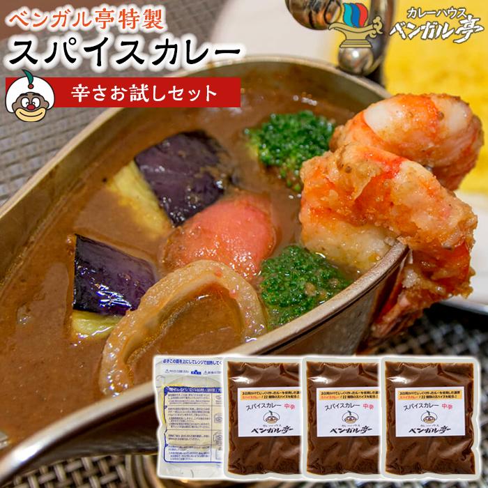【ふるさと納税】A ベンガル亭特製スパイスカレー！（辛さお試しセット） | 香川県 坂出市 香川 四国 ふるさと 納税 返礼品 お取り寄せグルメ 取り寄せ グルメ 食品 カレー スパイスカレー 薬膳カレー 詰め合わせ セット 食べ比べ ご当地カレー ご当地グルメ
