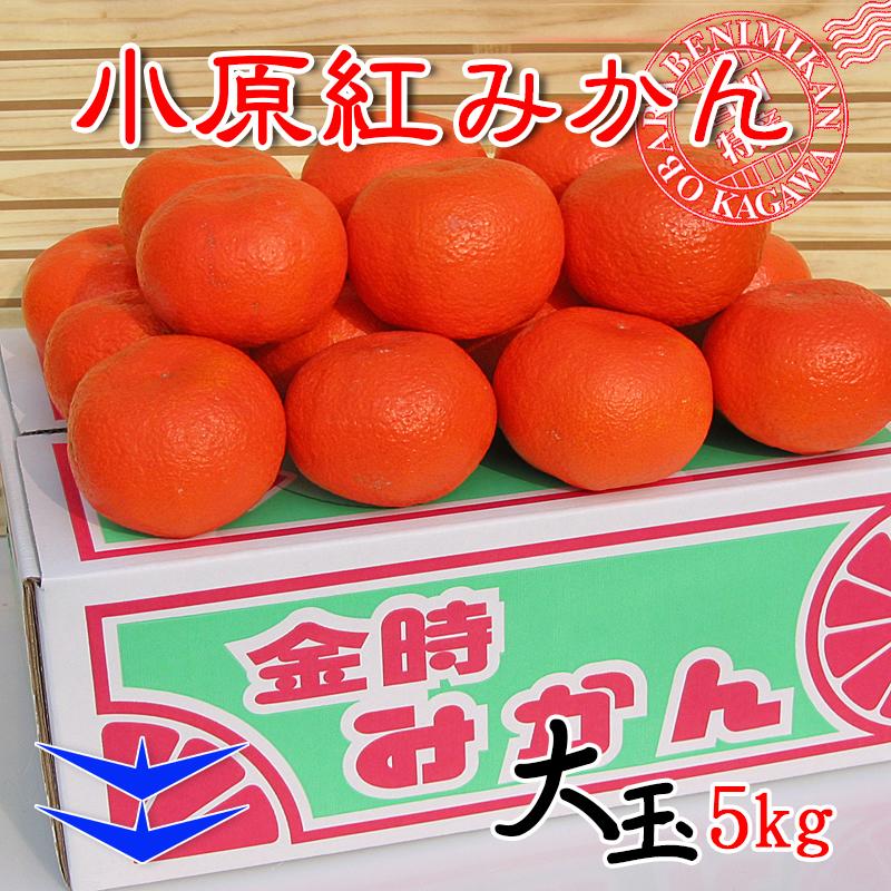 【ふるさと納税】小原紅早生みかん 香川県産 約5kg ( 2Lサイズ ) ｜ みかん | フルーツ 果物 くだもの 食品 人気 おすすめ 送料無料