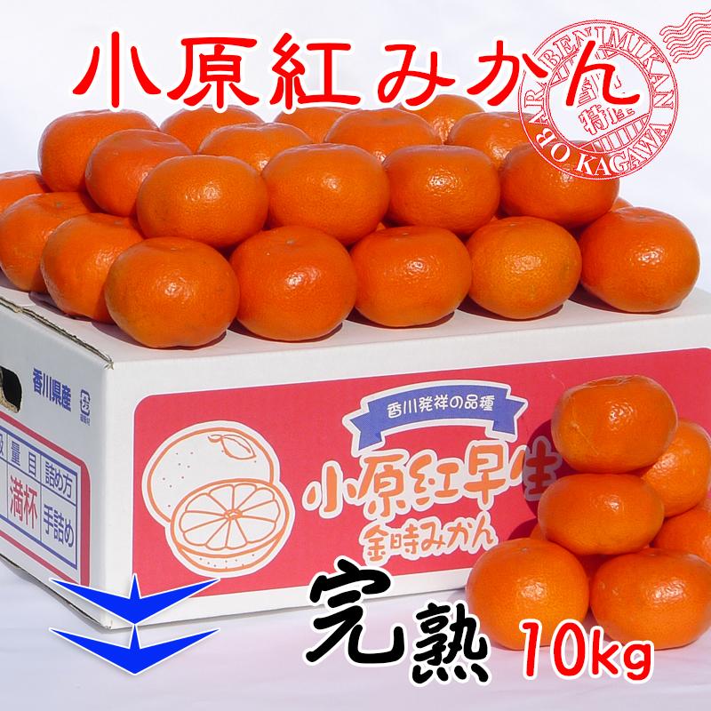 【ふるさと納税】小原紅早生みかん 香川県産 約10kg ( S ～ Lサイズ ) ｜ みかん | フルーツ 果物 くだもの 食品 人気 おすすめ 送料無料