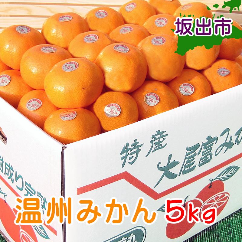 【ふるさと納税】温州みかん 香川産 約5kg ( S ～ Lサイズ ) ｜ みかん 味濃い | フルーツ 果物 くだもの 食品 人気 おすすめ 送料無料