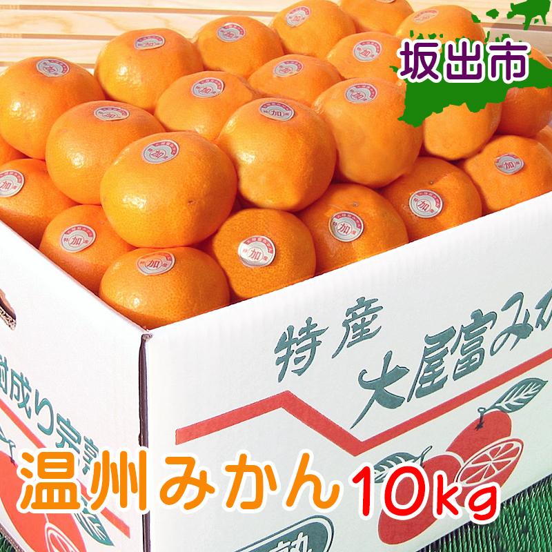 【ふるさと納税】温州みかん 香川産 約10kg ( S ～ Lサイズ ) ｜ みかん 味濃い | フルーツ 果物 くだもの 食品 人気 おすすめ 送料無料