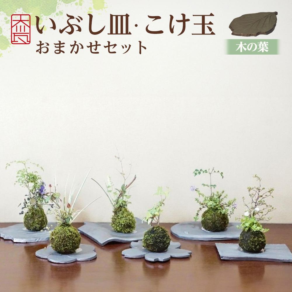 【ふるさと納税】いぶし皿（木の葉）・こけ玉おまかせ　セット 13,260円