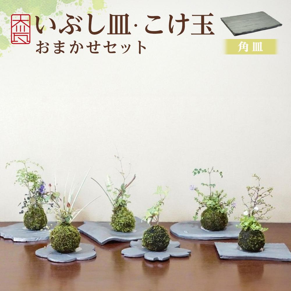 【ふるさと納税】いぶし皿(角皿)・こけ玉おまかせ セット