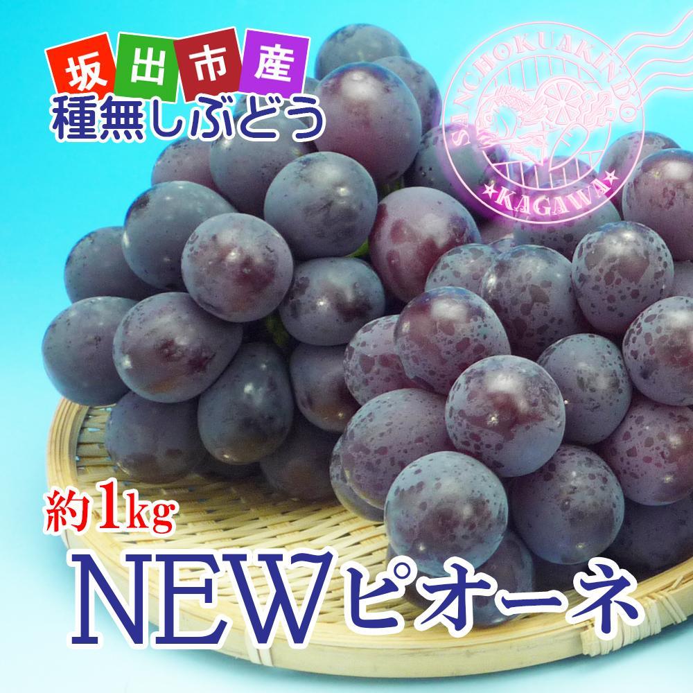 【ふるさと納税】《2026年発送》ニューピオーネ 秀品 2kg ( 約3 ~ 5房 ) ｜ぶどう 香川産 人気品種 | フルーツ 果物 くだもの 食品 人気 おすすめ 送料無料