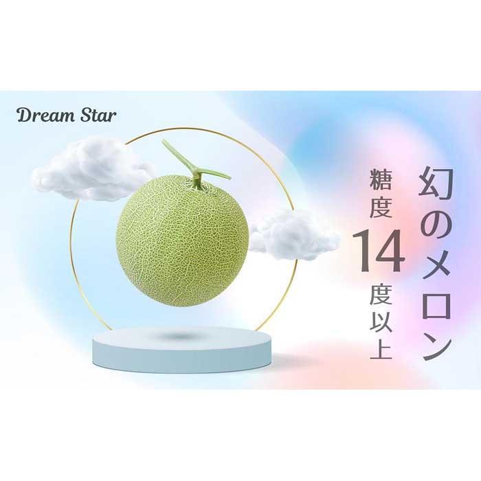【ふるさと納税】【2026年5月以降発送】さぬきメロン Dream Star 1.1kg以上｜メロン 糖度 14度以上 甘い フルーツ 果物 くだもの 特産 ふるさと 坂出市 香川 さぬき 食品 人気 おすすめ 送料無料 | メロン 甘い フルーツ 果物 くだもの 坂出市 食品 人気 おすすめ 送料無料