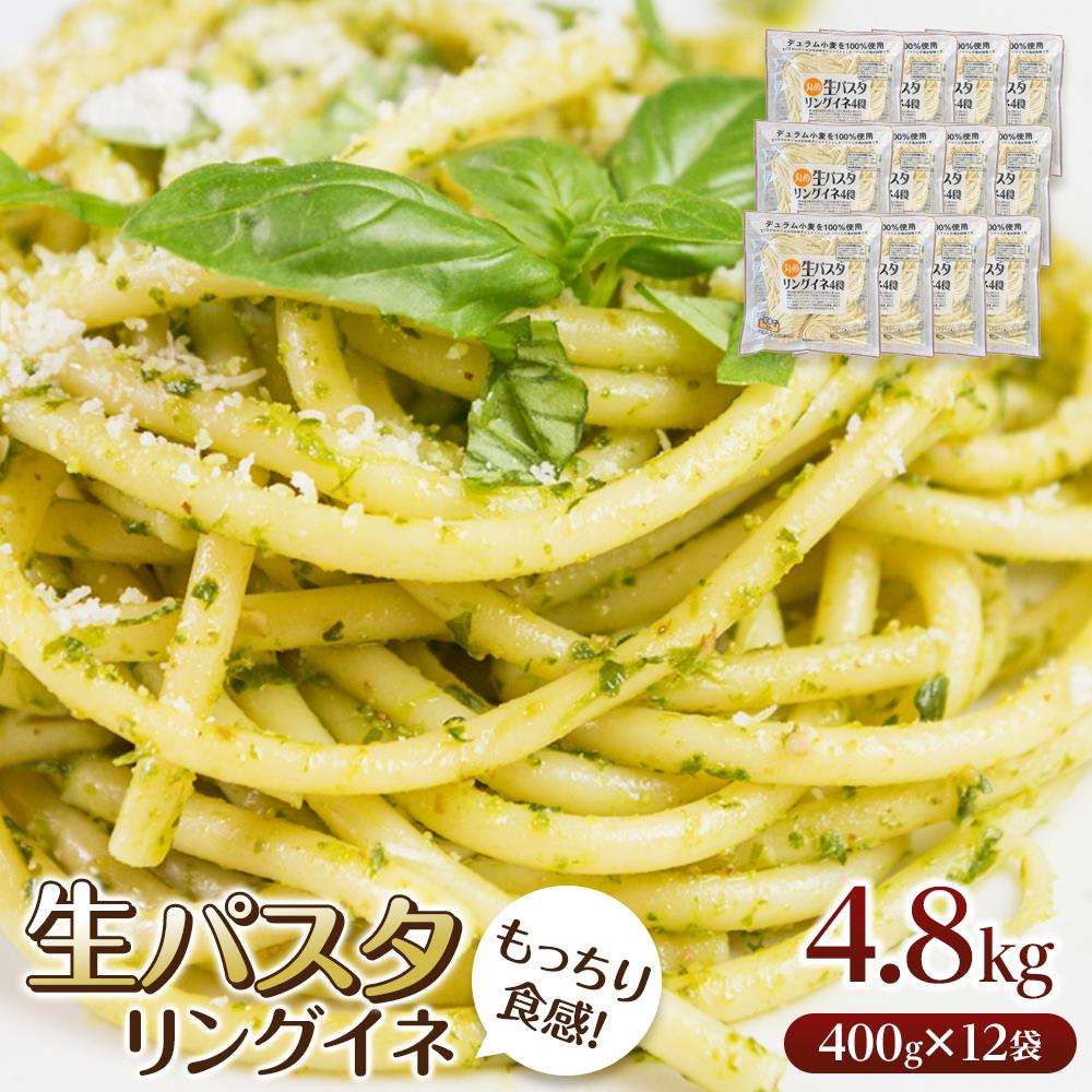 【ふるさと納税】生パスタ  リングイネ 4.8kg  48食分( 麺 400g：4食 × 12袋 )｜生麺 | 麺 食品 加工食品 人気 おすすめ 送料無料