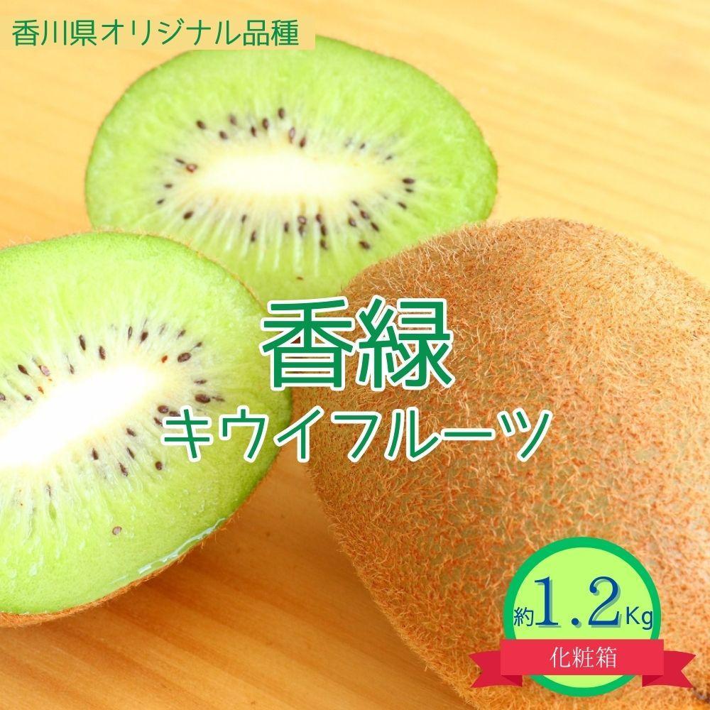 【ふるさと納税】＜先行受付　2025年発送＞香緑　キウイフルーツ　約1.2kg（化粧箱） | フルーツ 果物 くだもの 食品 人気 おすすめ 送料無料