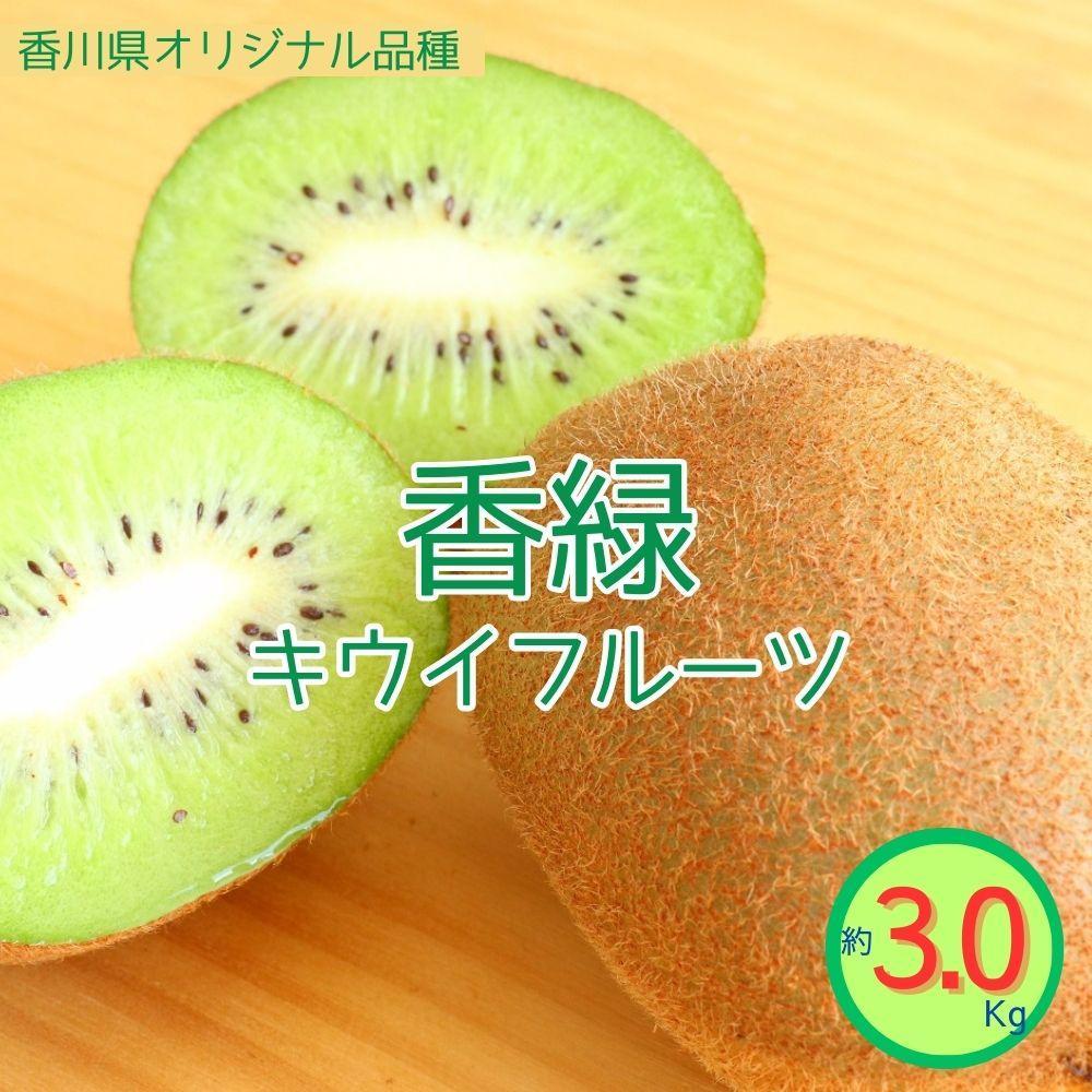 【ふるさと納税】＜先行受付　2025年発送＞香緑　キウイフルーツ 約3.0kg | フルーツ 果物 くだもの 食品 人気 おすすめ 送料無料