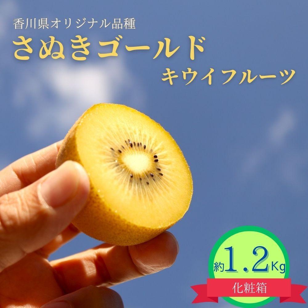【ふるさと納税】＜先行受付　2025年発送＞さぬきゴールド　キウイフルーツ　約1.2kg（化粧箱） | フルーツ 果物 くだもの 食品 人気 おすすめ 送料無料