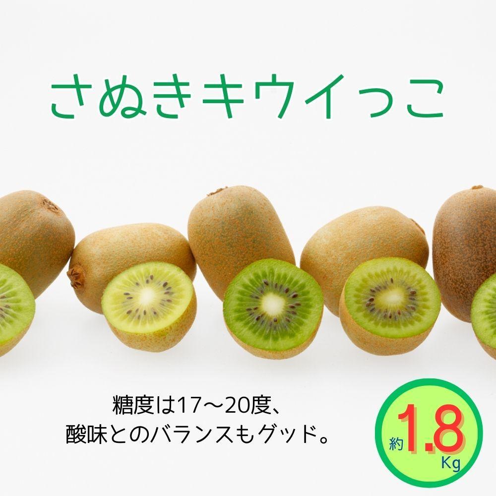 【ふるさと納税】＜先行受付　2025年発送＞さぬきキウイっこ　キウイフルーツ　約1.8kg | フルーツ 果物 くだもの 食品 人気 おすすめ 送料無料