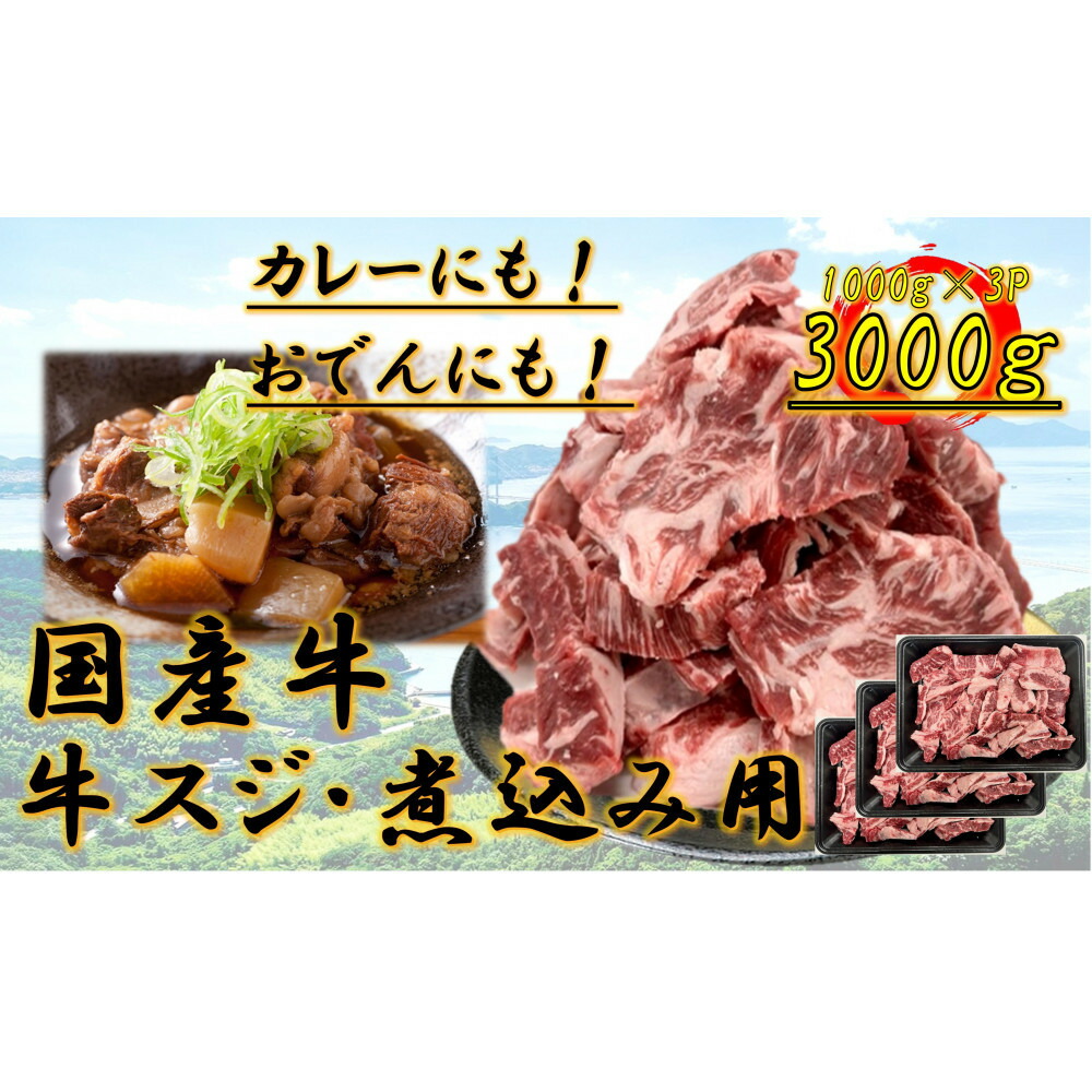 【ふるさと納税】国産牛　スジ　3kg | 肉 お肉 にく 牛肉 すじ肉 スジ肉 スジ すじ 国産 国産牛 食品 人気 おすすめ 送料無料 ギフト｜香川県坂出市