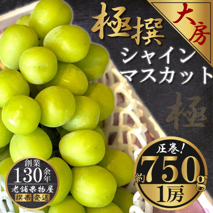 【ふるさと納税】極撰！大房シャインマスカット　 1房(約750g) | フルーツ 果物 くだもの 食品 人気 おすすめ 送料無料