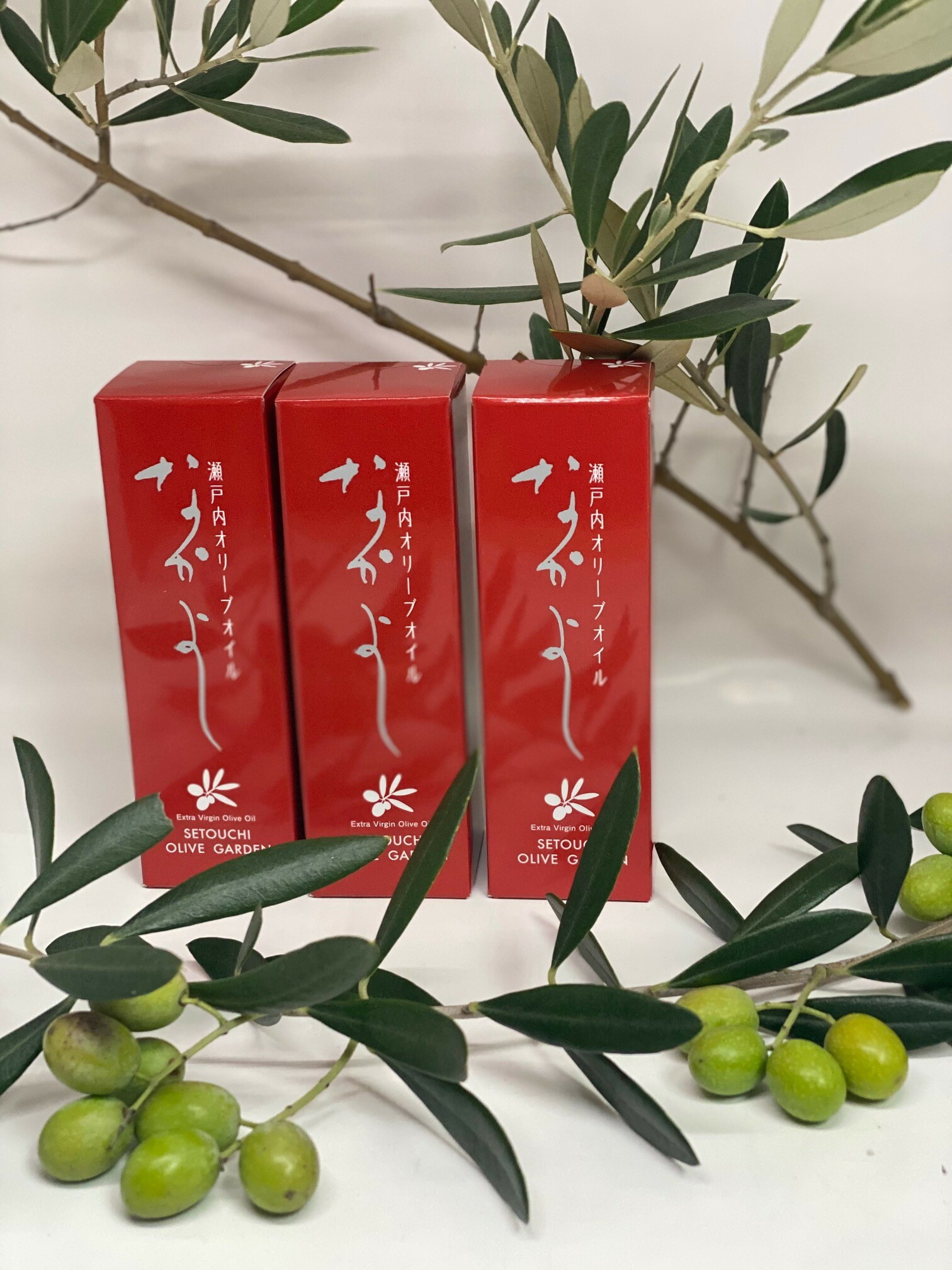 【ふるさと納税】ひと肌世話をする美容油絵の具「なかよし」3本(31ml×3本)  | かざり付ける品 コスメ 美容 油 あぶら 食料雑貨類 工業食料雑貨類 一般受け おすすめ 貨物輸送無料