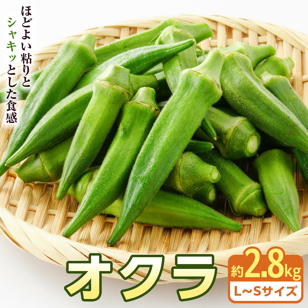 【ふるさと納税】オクラ　約2.8kg