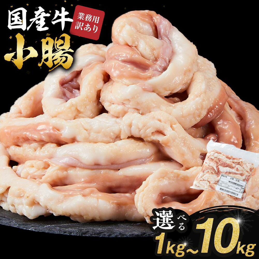 【ふるさと納税】《業務用・訳アリ》国産牛　小腸　1kg～10kg | 肉 お肉 にく 牛肉 小腸 ホルモン 訳あり 訳アリ 業務用 国産牛 食品 人気 おすすめ 送料無料 ギフト