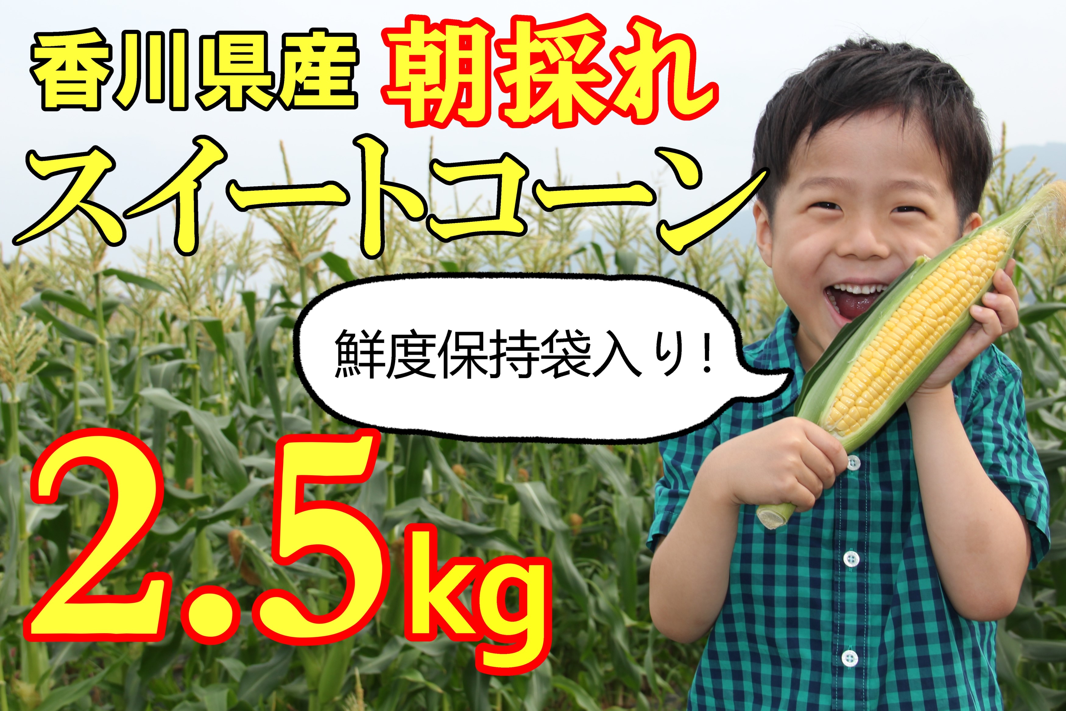 【ふるさと納税】2025年産 善通寺市産スイートコーン2.5kg（鮮度保持袋入り）　【2025年６月頃から発送開始予定のお品です】