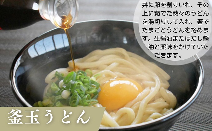 岡山生まれのたまごかけうどん 10個