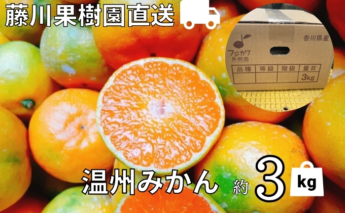 ふるさと納税 農園直送 フジカワ果樹園栽培の 温州みかん 約3kg 果物類 みかん 柑橘類 ミカン 温州みかん 約3kg フルーツ お届け 21年9月下旬 12月上旬 Aplusfinance Blog Com