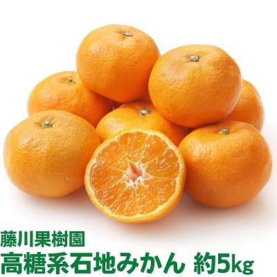 【ふるさと納税】2025年秋よりお届け 高糖系石地みかん 約5kg 果物類／みかん 柑橘類 フルーツ ミカン 蜜柑 　お届け：2025年12月上旬～12月下旬