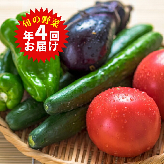 【ふるさと納税】旬の野菜詰合せ（年間4回定期便） 野菜類 セット 頒布会