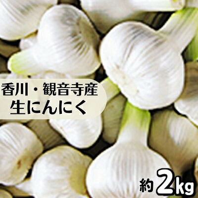 【ふるさと納税】生にんにく 約2kg 野菜 ニンニク 大蒜　 　お届け：2026年5月上旬～6月上旬