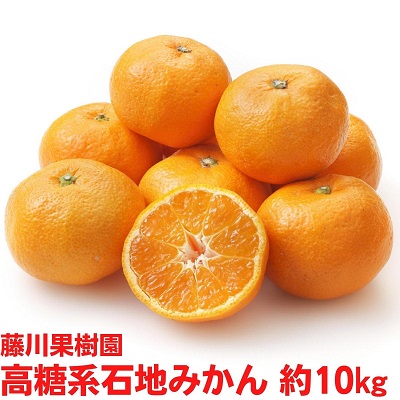 【ふるさと納税】2025年秋よりお届け 高糖度系石地みかん 約10kg 果物類 柑橘類 フルーツ ミカン 蜜柑 くだもの 　お届け：2025年12月上旬～12月下旬