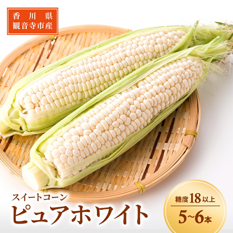 【ふるさと納税】《糖度18度以上》スイートコーン とうもろこし ピュアホワイト 5～6本 ※お届け：2024年6月中旬～7月上旬 野菜 　お届け：2025年6月中旬～7月上旬