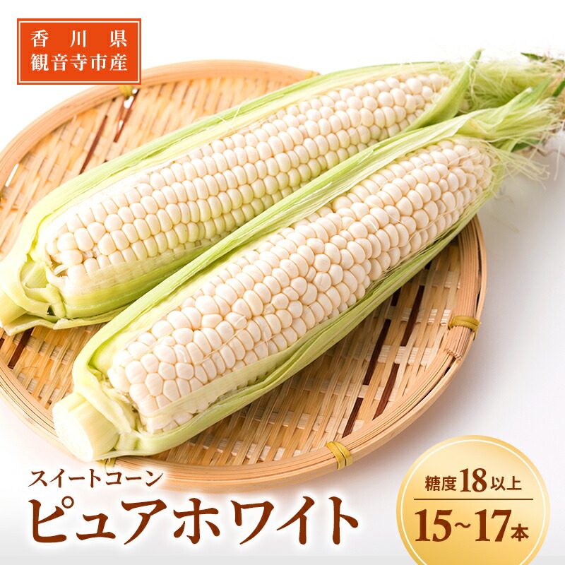 【ふるさと納税】《糖度18度以上》スイートコーン とうもろこし ピュアホワイト 15～17本 ※お届け：2024年6月中旬～7月上旬 野菜 　お届け：2025年6月中旬～7月上旬