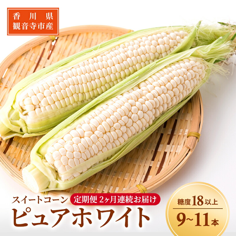 【ふるさと納税】《糖度18度以上》スイートコーン とうもろこし ピュアホワイト【2ヶ月連続お届け】9～11本入×2回 ※お届け：2024年6月中旬～7月上旬 野菜 　お届け：2025年6月中旬～7月上旬