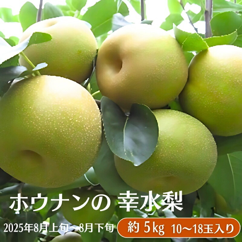 【ふるさと納税】ホウナンの梨（幸水梨）約5kg 果物 フルーツ ナシ 先行予約 　お届け：2025年8月上旬～8月下旬